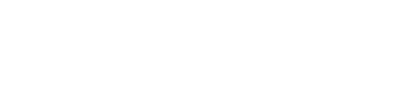 VisionFlex Logo